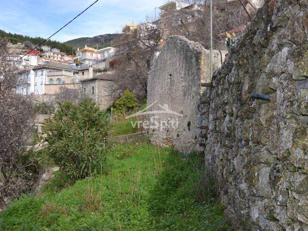 ΑΠΟΨΗ ΟΙΚΟΠΕΔΟΥ