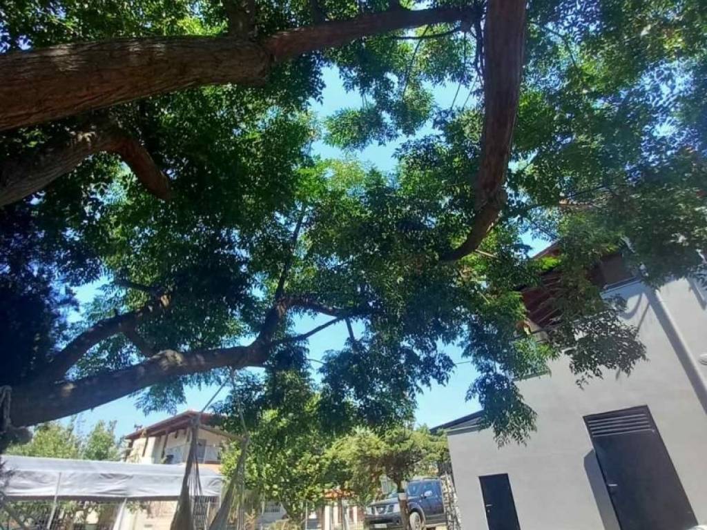 Θέα από μπαλκόνι