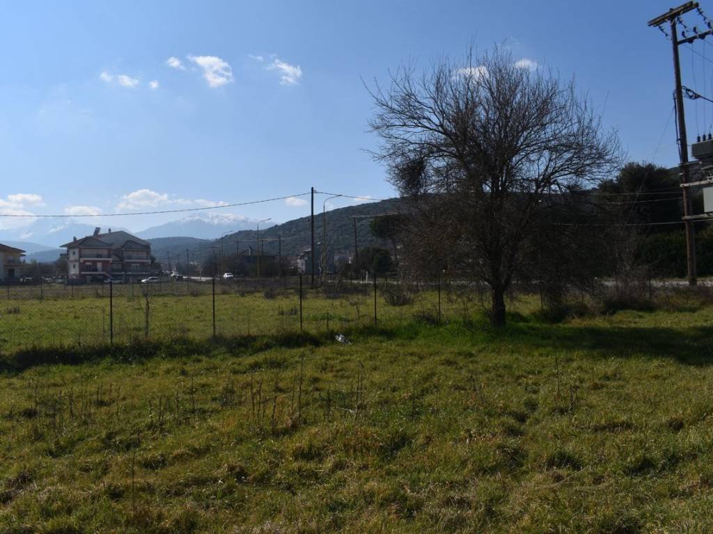 ΑΠΟΨΗ ΟΙΚΟΠΕΔΟΥ