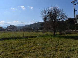 ΑΠΟΨΗ ΟΙΚΟΠΕΔΟΥ