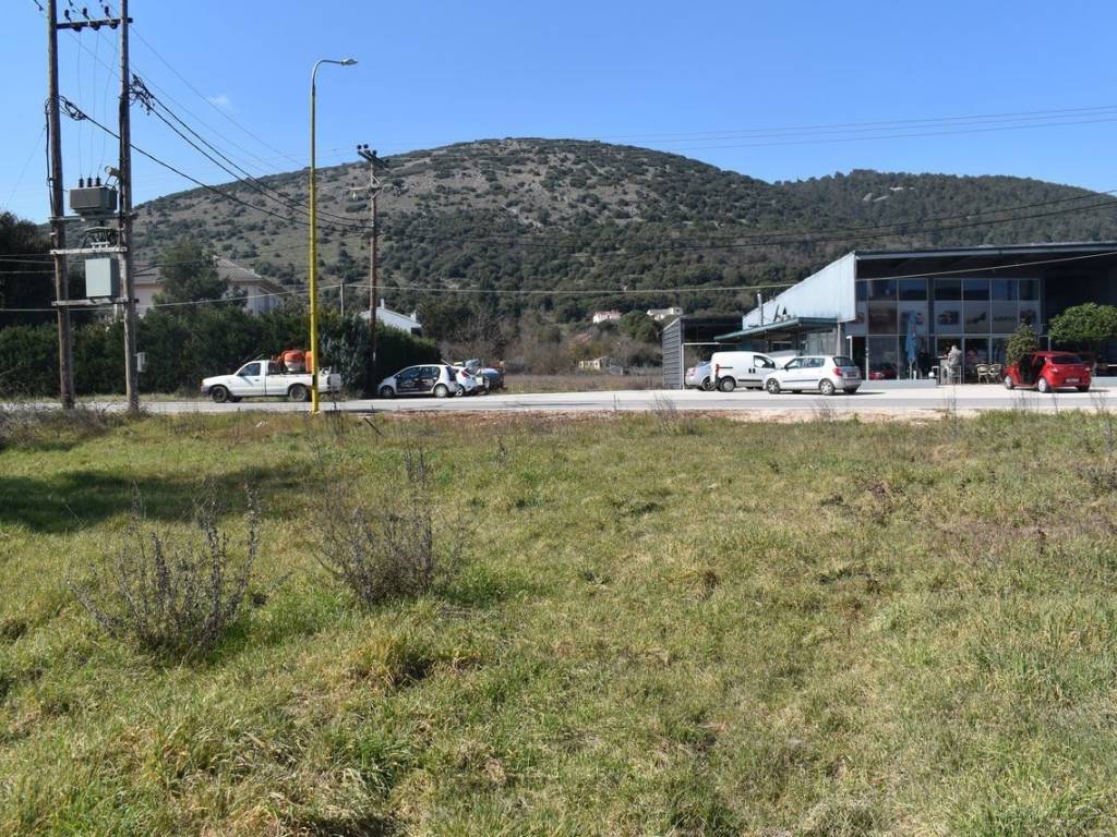 ΑΠΟΨΗ ΟΙΚΟΠΕΔΟΥ