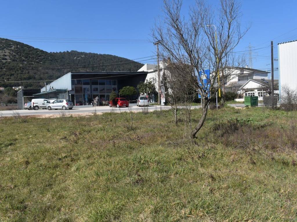 ΑΠΟΨΗ ΟΙΚΟΠΕΔΟΥ