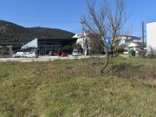 ΑΠΟΨΗ ΟΙΚΟΠΕΔΟΥ