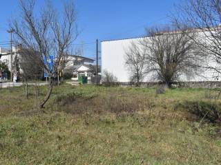 ΑΠΟΨΗ ΟΙΚΟΠΕΔΟΥ