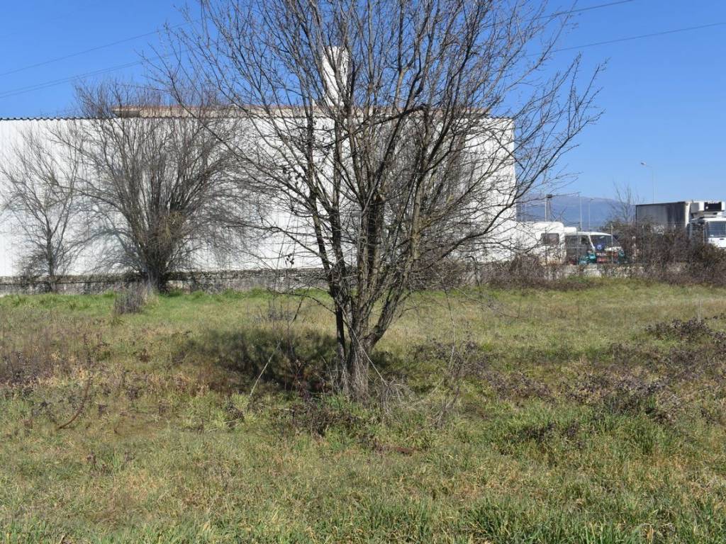 ΑΠΟΨΗ ΟΙΚΟΠΕΔΟΥ