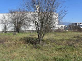 ΑΠΟΨΗ ΟΙΚΟΠΕΔΟΥ