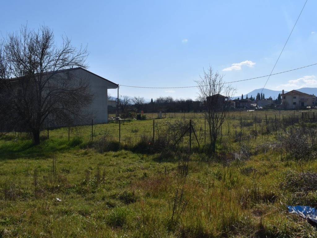 ΑΠΟΨΗ ΟΙΚΟΠΕΔΟΥ