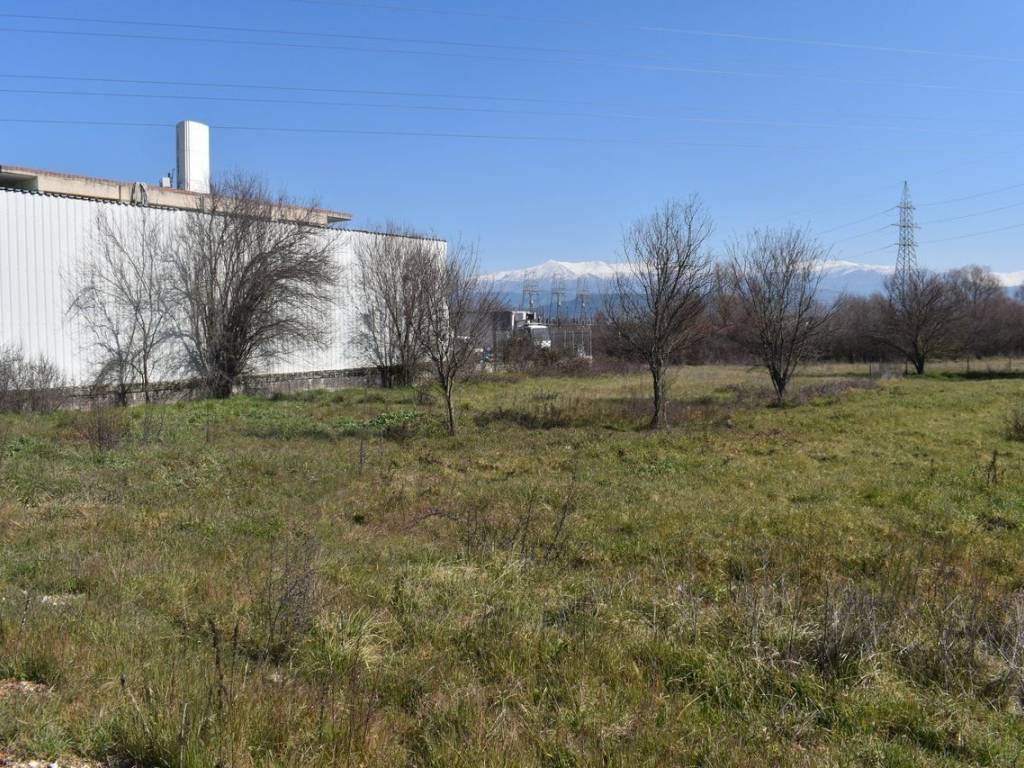 ΑΠΟΨΗ ΟΙΚΟΠΕΔΟΥ