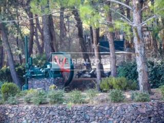 Ύπαρξη ανθρώπου