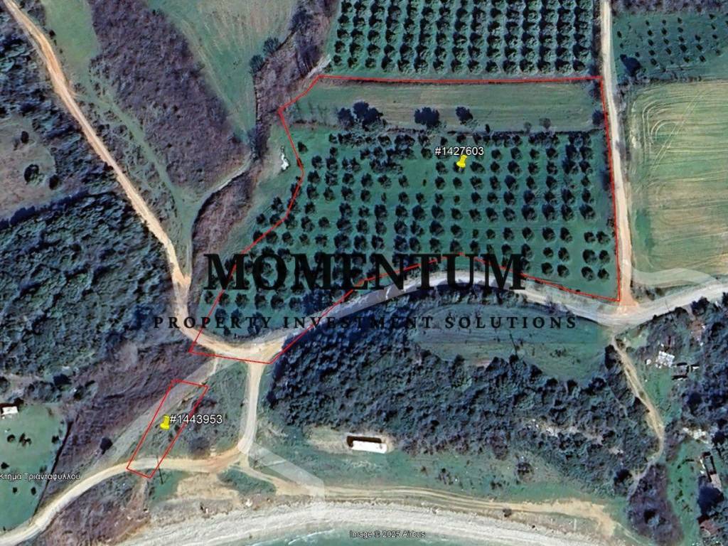 Εξωτερικοι χώροι