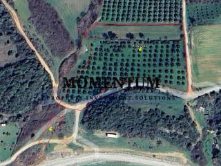 Εξωτερικοι χώροι