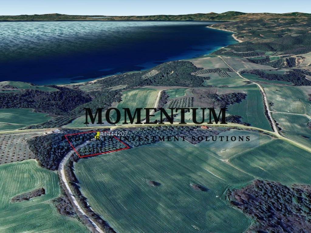 Εξωτερικοι χώροι