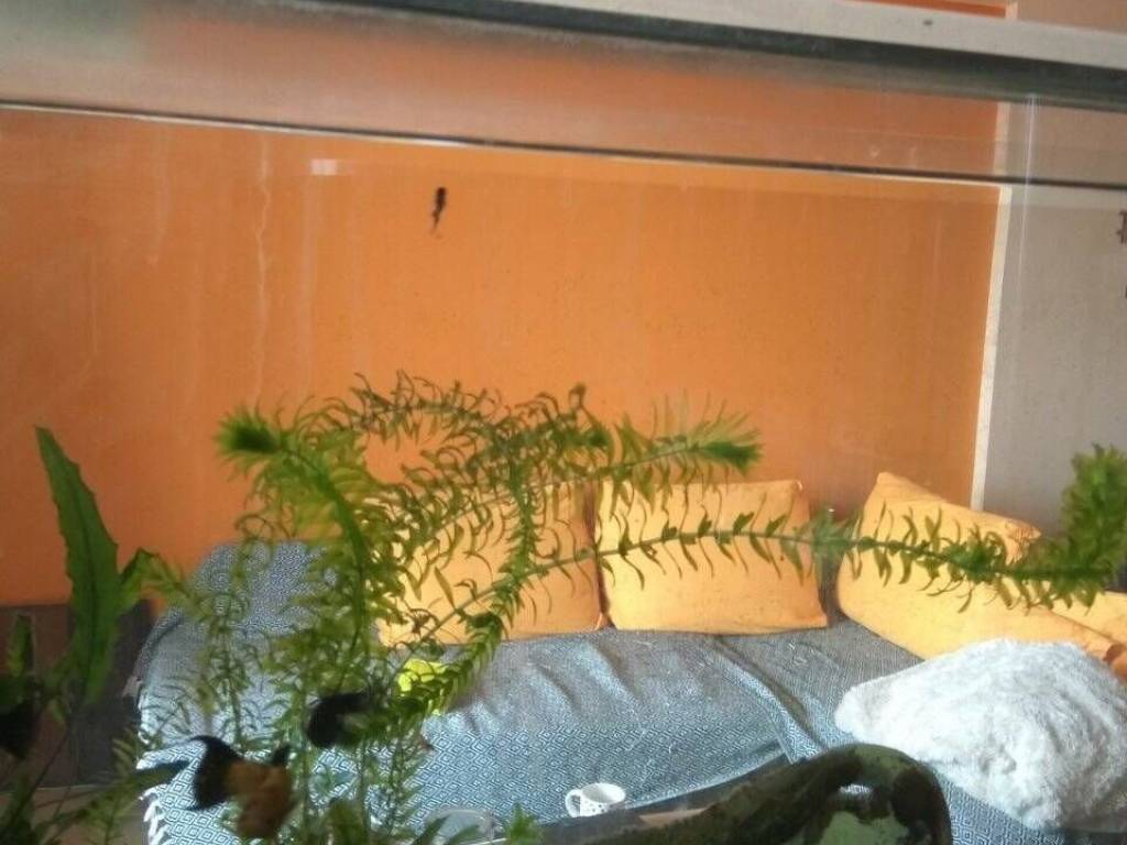 Υπνοδωμάτιο