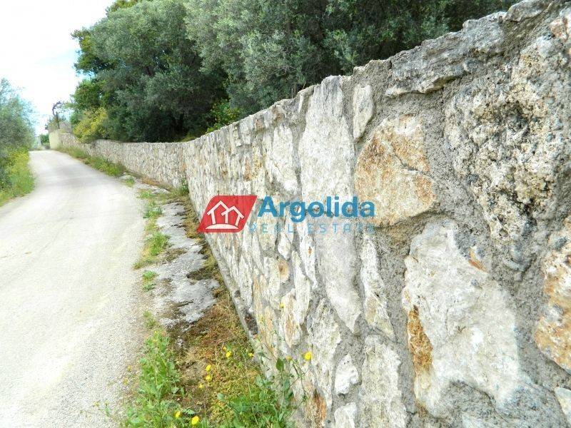 Ύπαρξη ανθρώπου