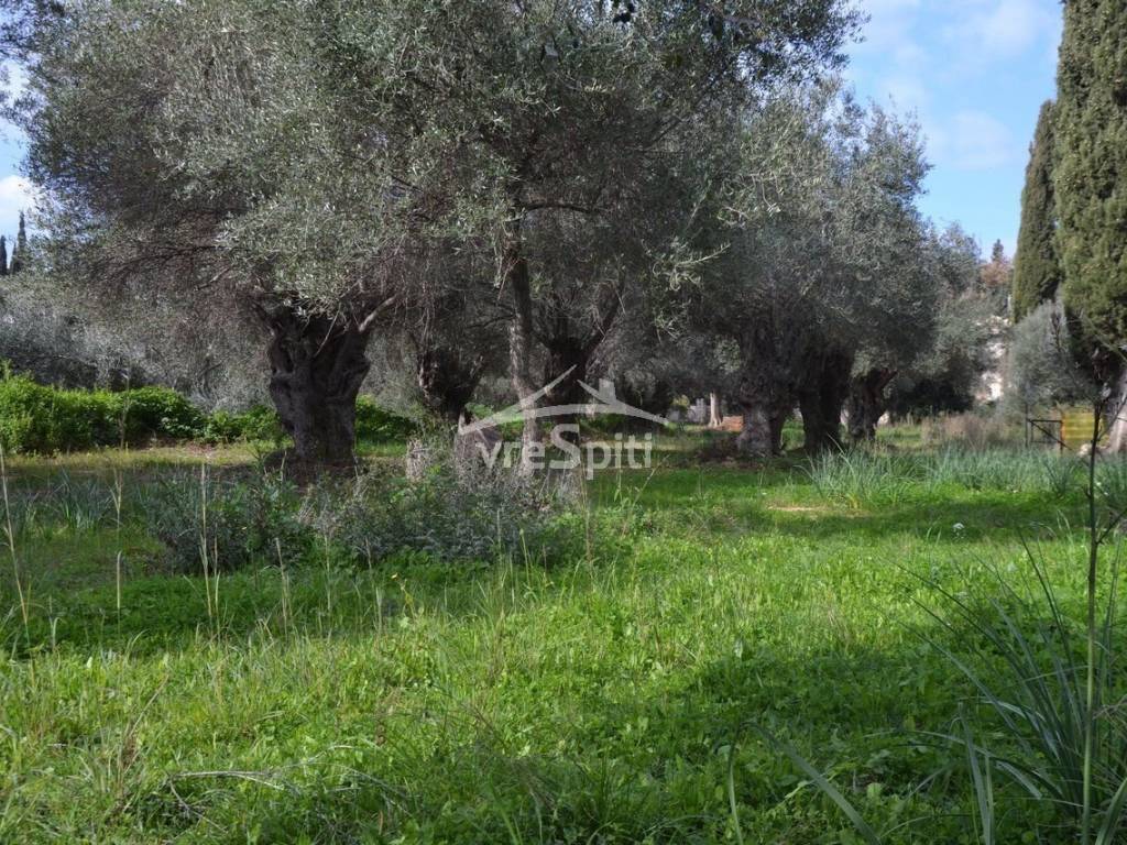 ΑΠΟΨΗ ΑΓΡΟΤΕΜΑΧΙΟΥ