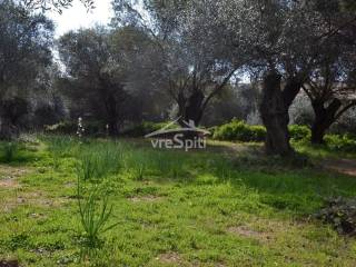 ΑΠΟΨΗ ΑΓΡΟΤΕΜΑΧΙΟΥ