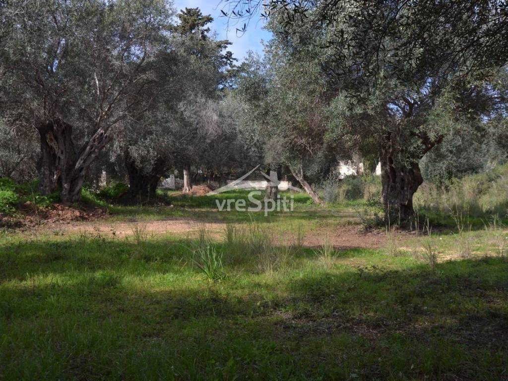 ΑΠΟΨΗ ΑΓΡΟΤΕΜΑΧΙΟΥ