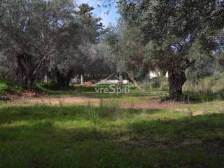 ΑΠΟΨΗ ΑΓΡΟΤΕΜΑΧΙΟΥ