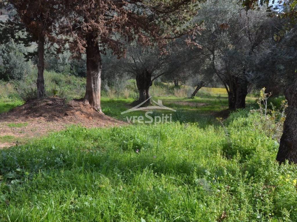 ΑΠΟΨΗ ΑΓΡΟΤΕΜΑΧΙΟΥ