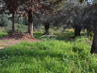 ΑΠΟΨΗ ΑΓΡΟΤΕΜΑΧΙΟΥ