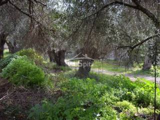 ΑΠΟΨΗ ΑΓΡΟΤΕΜΑΧΙΟΥ