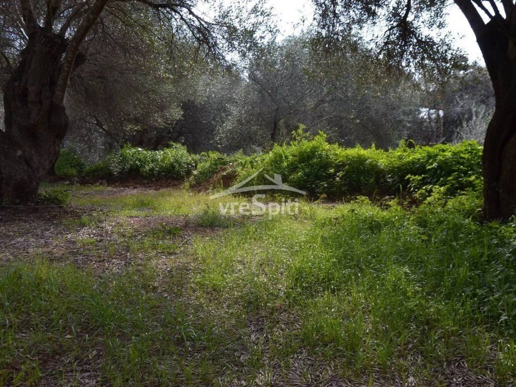 ΑΠΟΨΗ ΑΓΡΟΤΕΜΑΧΙΟΥ