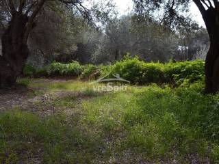 ΑΠΟΨΗ ΑΓΡΟΤΕΜΑΧΙΟΥ