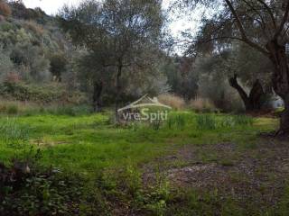 ΑΠΟΨΗ ΑΓΡΟΤΕΜΑΧΙΟΥ