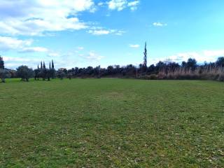 STO KASTRAKI PHOKIDOS