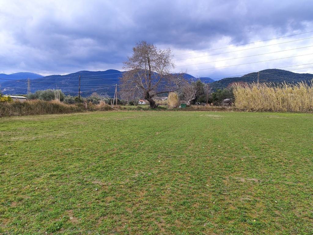 ARTIO KAI OIKODOMESIMO