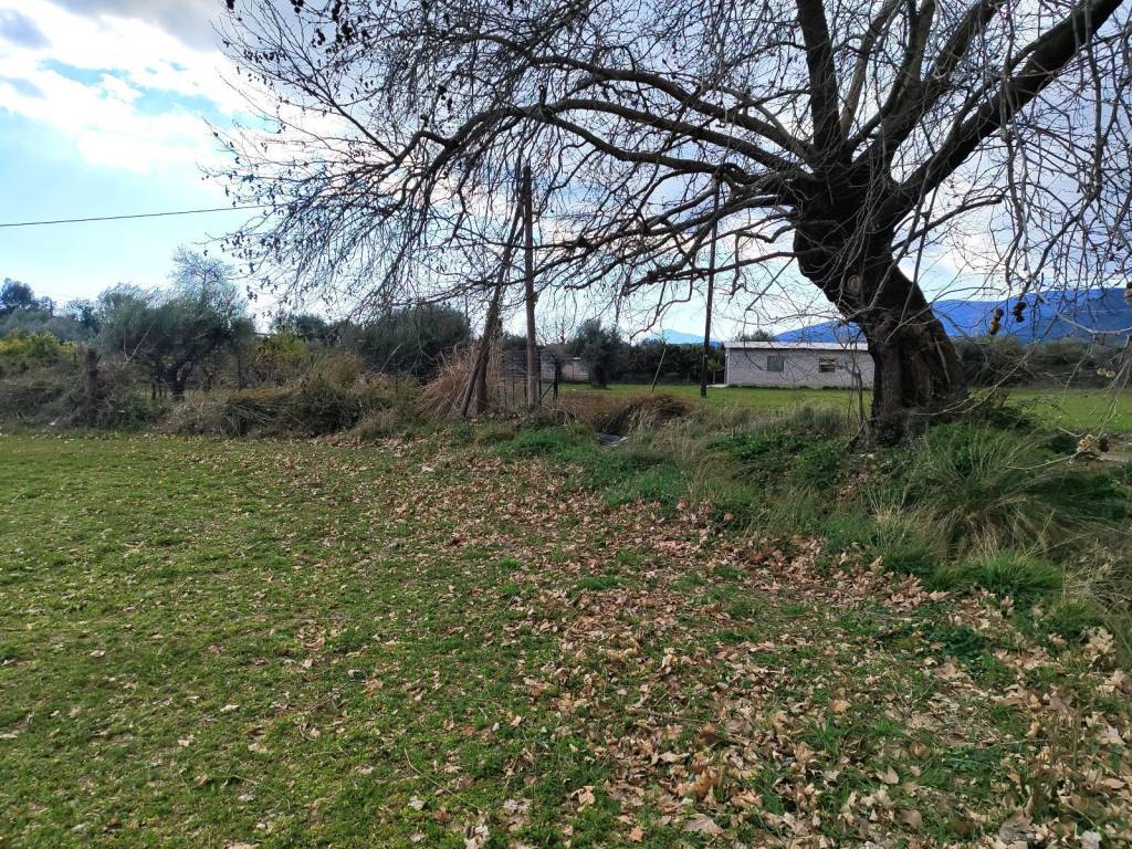 SE OMORPHE KAI ESYCHE PERIOCHE