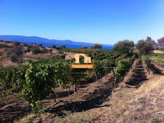 Ουρανούπολη, Κτήμα, 9.500 τ.μ.