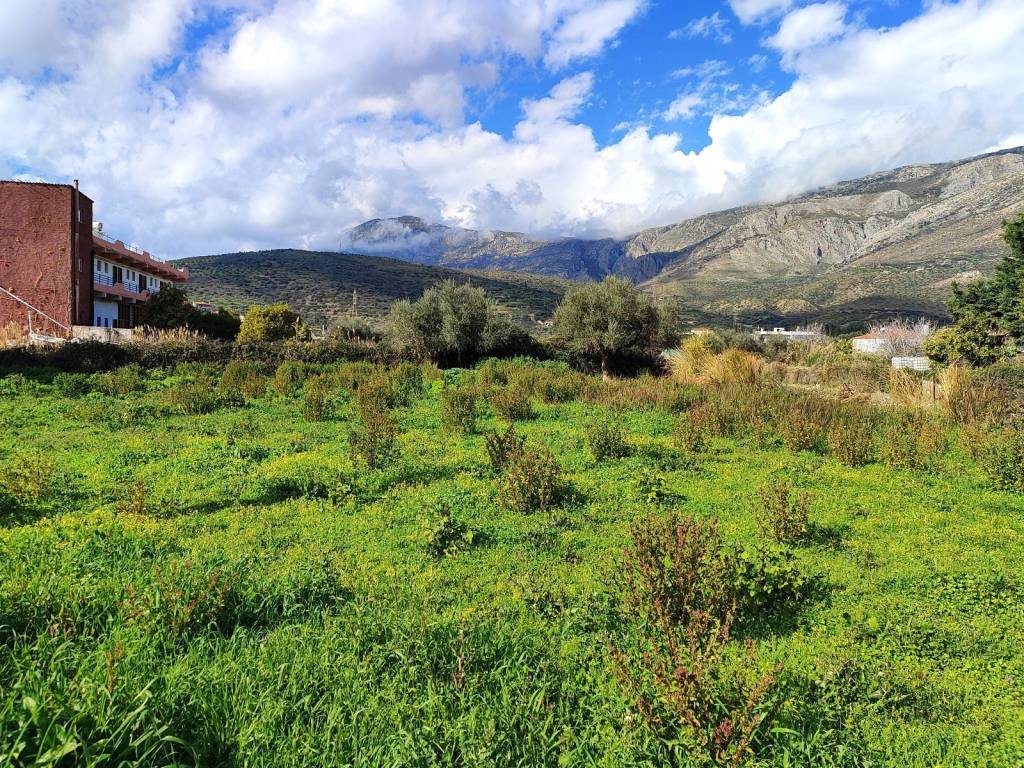 ARTIA KAI OIKODOMESIMA