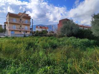 ΚΟΝΤΑ ΣΤΗΝ ΑΓΟΡΑ ΤΟΥ ΟΙΚΙΣΜΟΥ