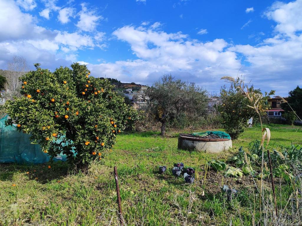 KATALLELA GIA ANEGERSE MONIMES E EXOCHIKES KATOIKIAS