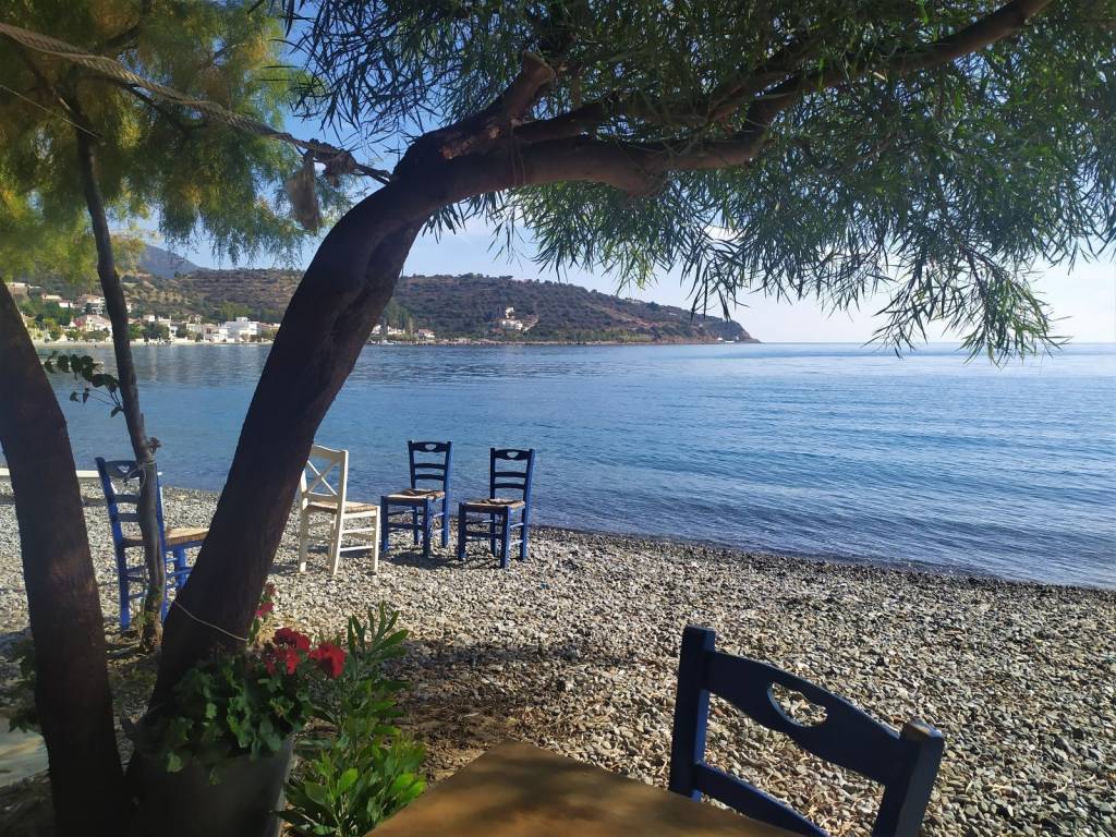 ERATEINE -STEN PARALIA TOY OIKISMOY