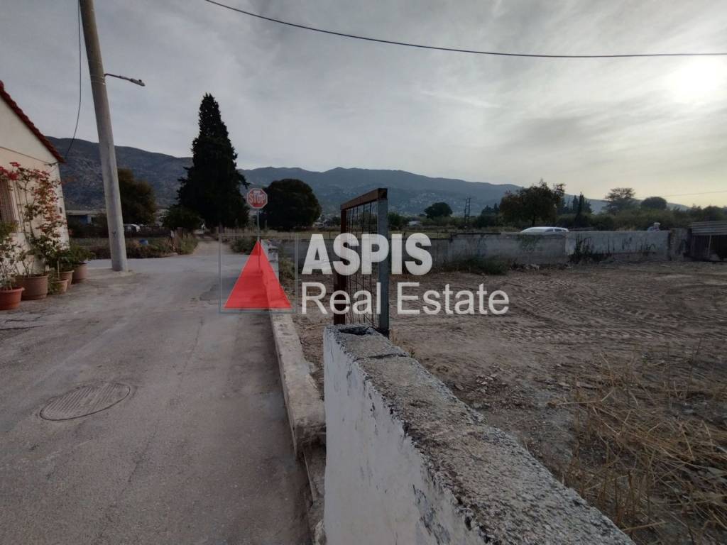 Εξωτερικοι χώροι