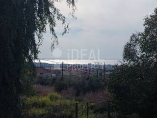 Θέα Θάλασσα