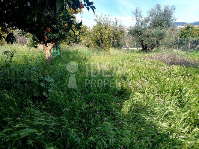 Οικόπεδο Εγλυκάδα