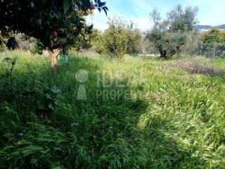 Οικόπεδο Εγλυκάδα