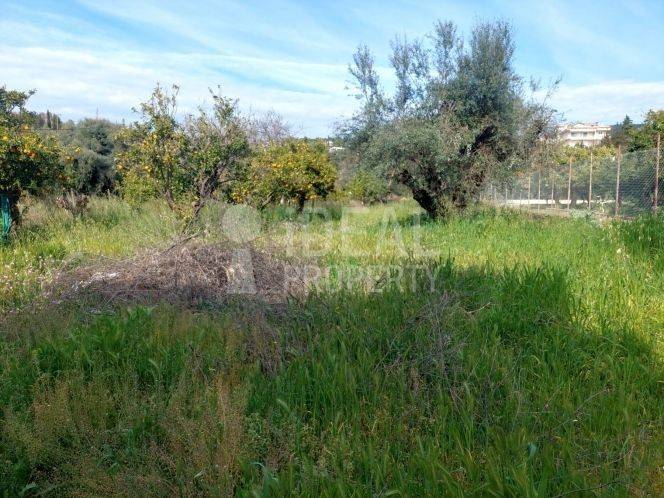 Οικόπεδο Εγλυκάδα