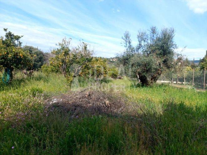 Οικόπεδο Εγλυκάδα