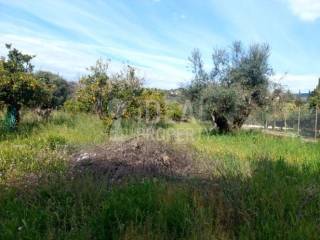 Οικόπεδο Εγλυκάδα