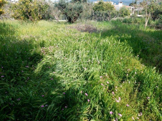 Οικόπεδο Εγλυκάδα