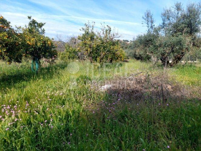 Οικόπεδο Εγλυκάδα