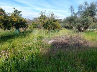 Οικόπεδο Εγλυκάδα