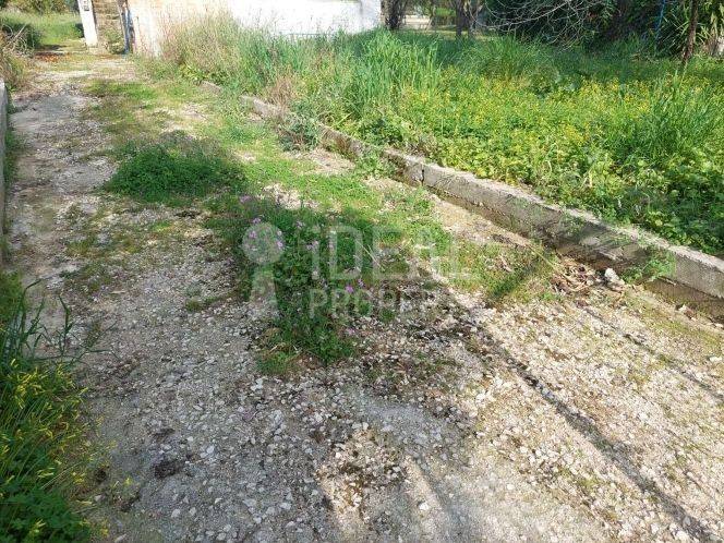 Οικόπεδο Εγλυκάδα