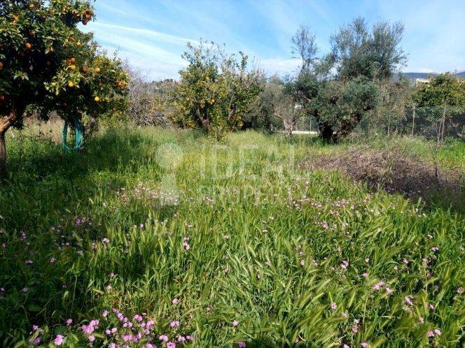 Οικόπεδο Εγλυκάδα