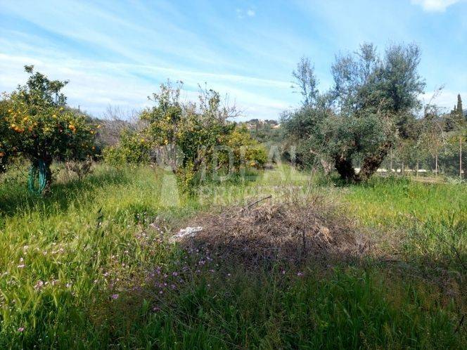 Οικόπεδο Εγλυκάδα