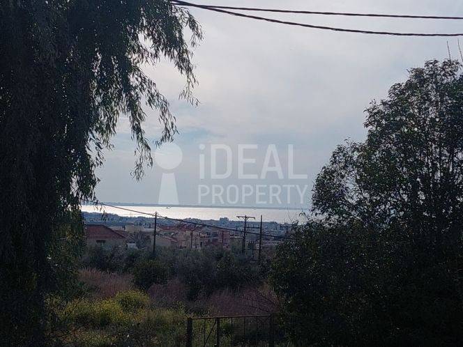 Οικόπεδο Εγλυκάδα